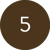 icon 5